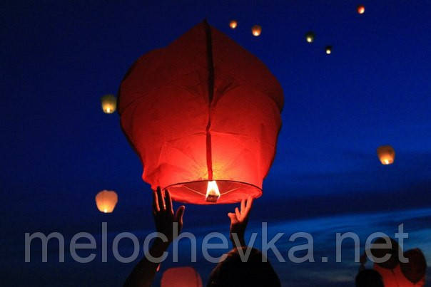 265646719_nebesnye-fonariki.jpg
